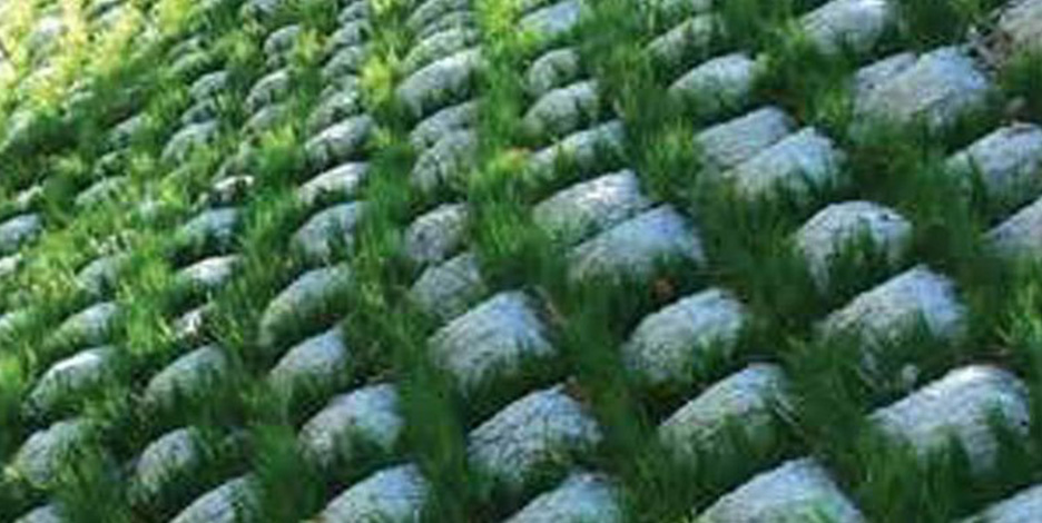 Close-up view of green grass growing through a grid of concrete erosion control blocks stabilizing a sloped hillside.